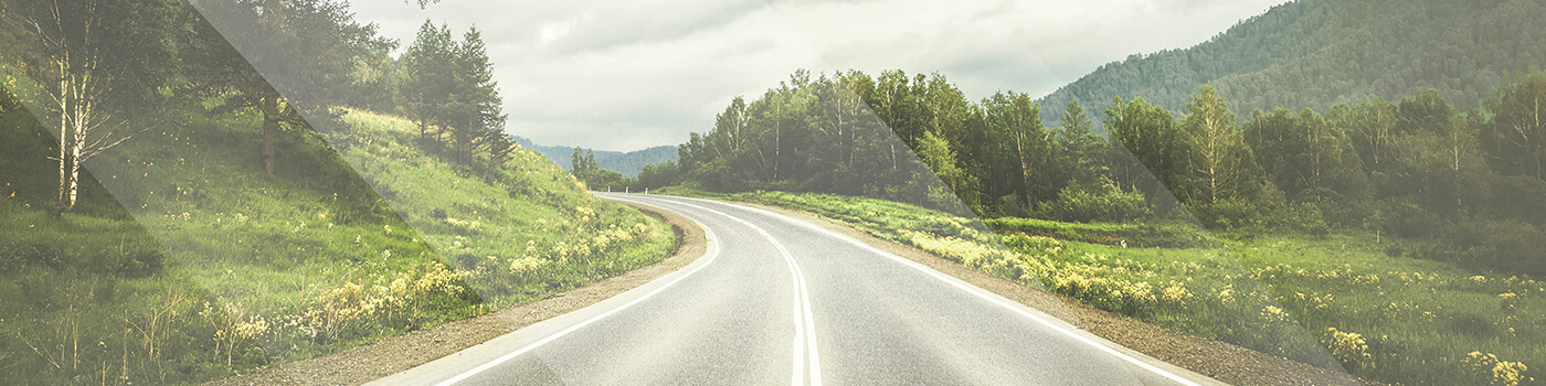 DEZENT Spring my Ride