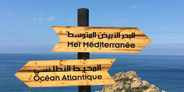 Birgit Wagner und DEZENT